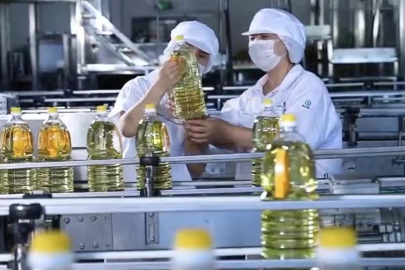 GA黄金甲(中国)最新官方网站